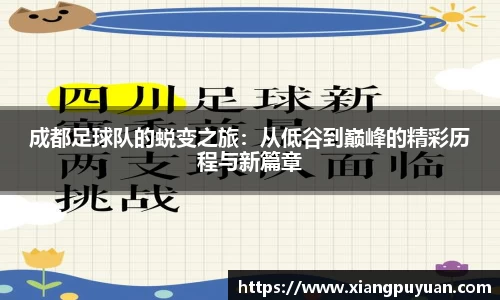 zoty中欧平台